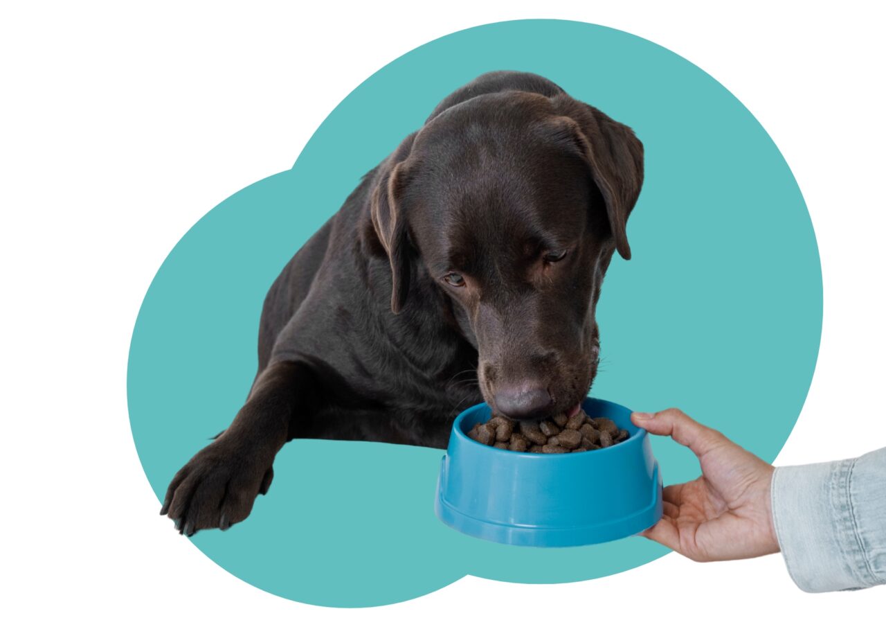 Bodoquissimo-Lo-que-Profeco-descubrió