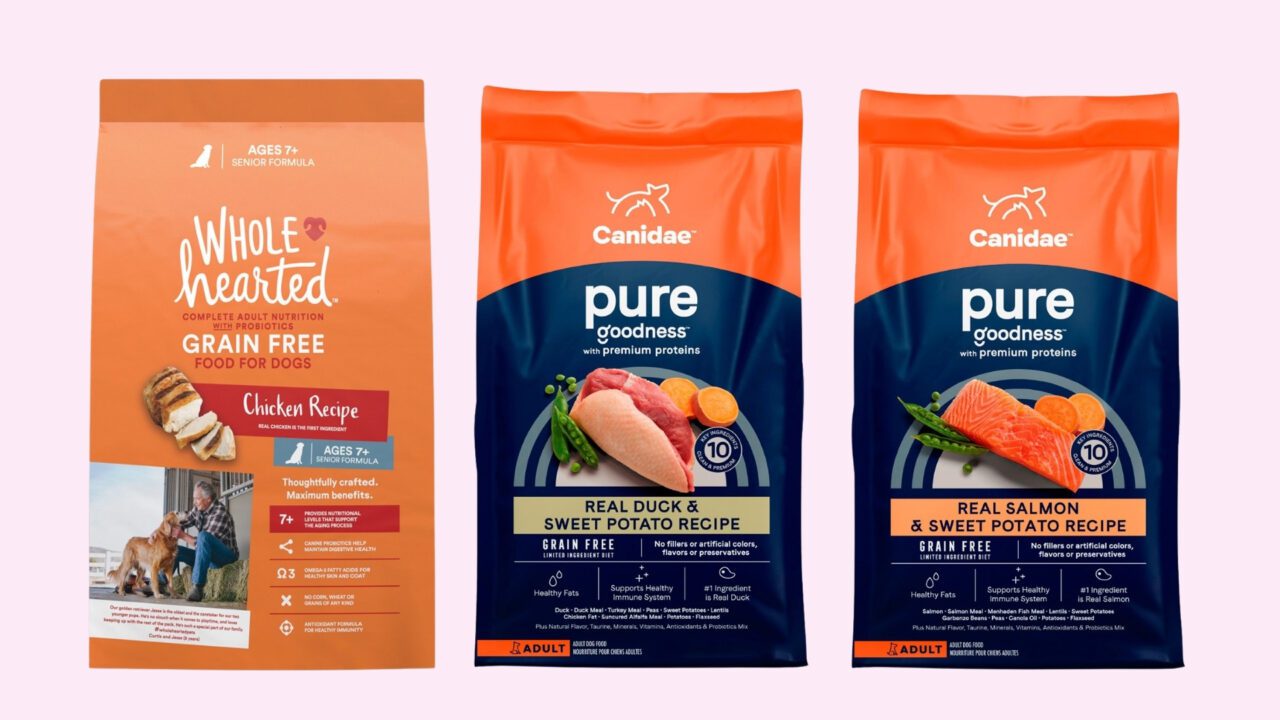 Croquetas lo que Profeco descubrió categoría A -Bodoquissimo