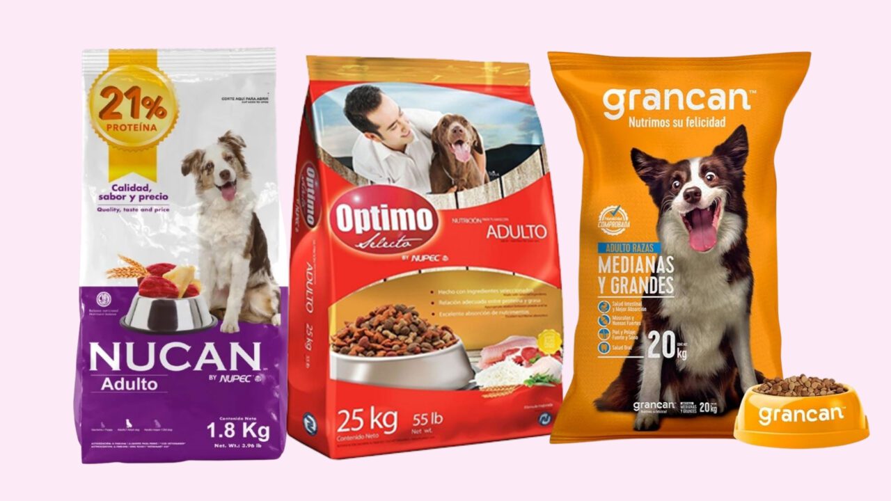 Croquetas lo que Profeco descubrió, categoría C-Bodoquissimo