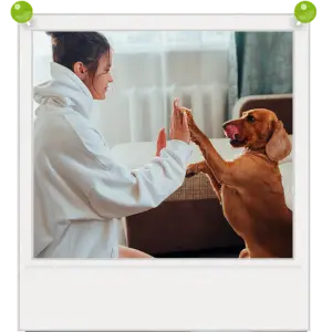 Entrenador-para-mi-mascota-chica-entrenando-perro