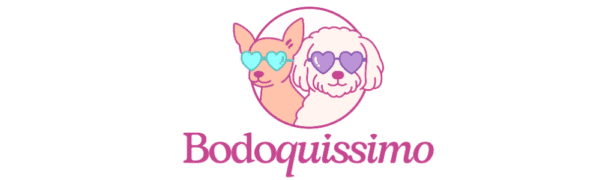 Logotipo-oficial-de-Bodoquissimo