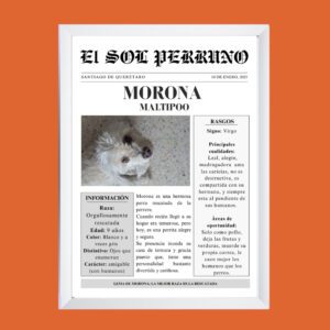 Portada-estelar-Mi-mascota