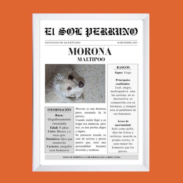 Portada-estelar-Mi-mascota