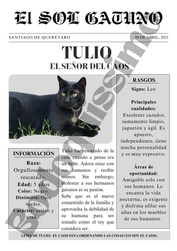 Portada estelar-Mi mascota