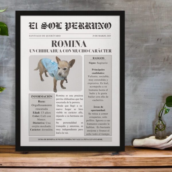 Portada-estelar-cuadro -decorativo