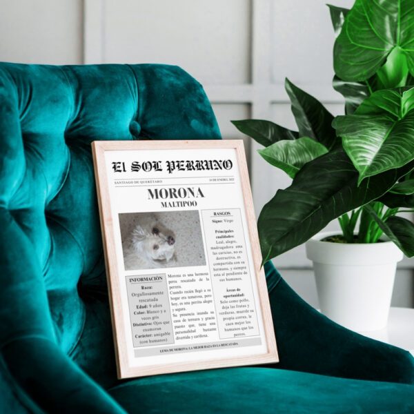 Portada-estelar-cuadro decorativo-sobre-sofá