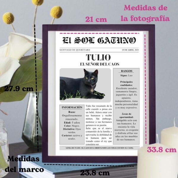 Portada-estelar-medidas-del-cuadro