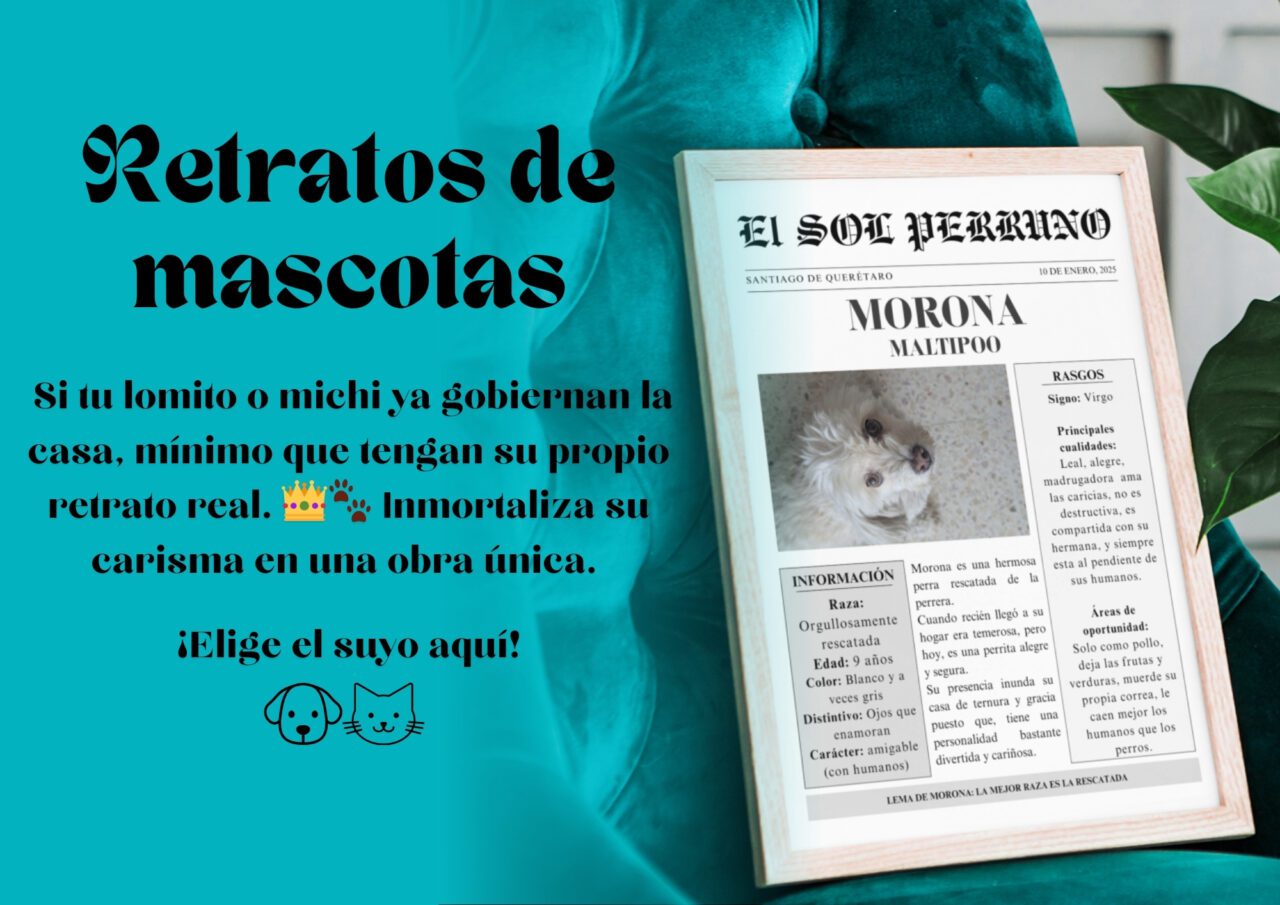 Retrato-de-mi-mascota-Bodoquissimo